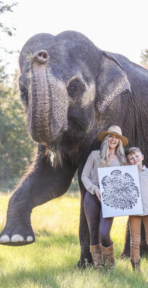 Elephant Foot Prints
