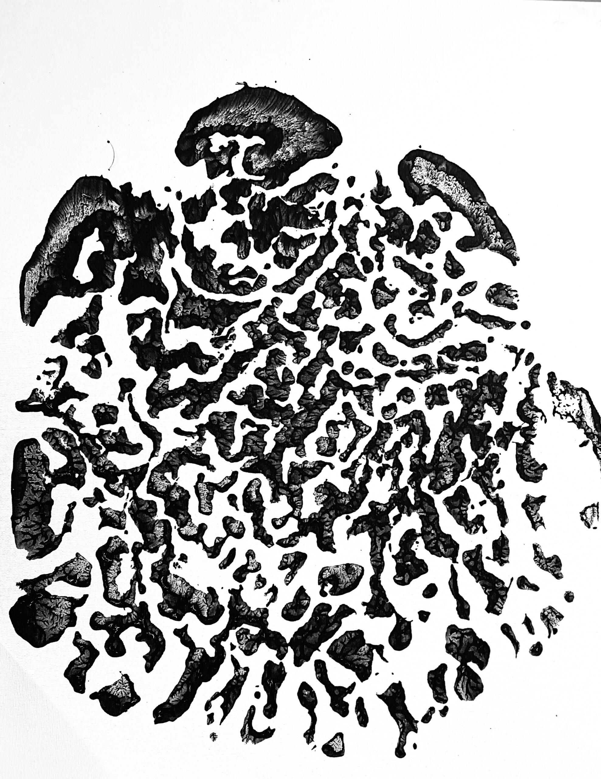 Discover The Secret Behind This Unusual Elephant Foot X Ray - sxmdcxq